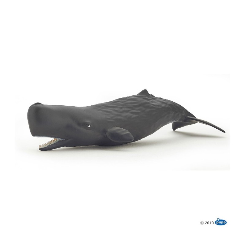 FIGURA BEBE CACHALOTE ( PAPO )
