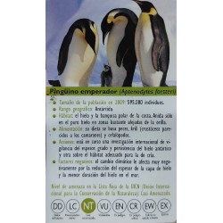 FIGURA PINGUINO EMPERADOR