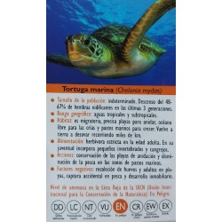 FIGURA TORTUGA MARINA 2