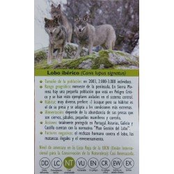 FIGURA LOBO IBERICO 2