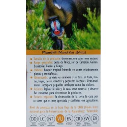 FIGURA MANDRIL 2