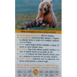 FIGURA OSO EUROPEO 2