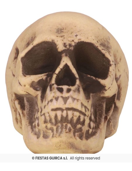 Calavera pvc 20 cm