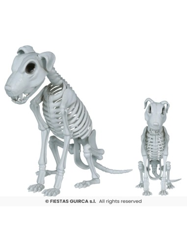 Esqueleto perro pvc 38 cm