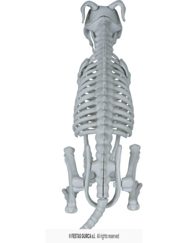 Esqueleto perro pvc 38 cm