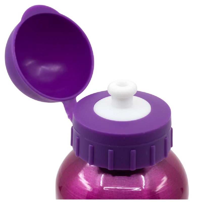 BOTELLA ALUMINIO PEQ. 400 ML PAW PATROL 