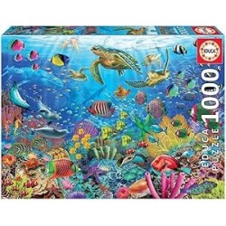 1000 Tortugas En El Paraíso