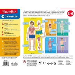 EL CUERPO HUMANO MONTESSORI 2