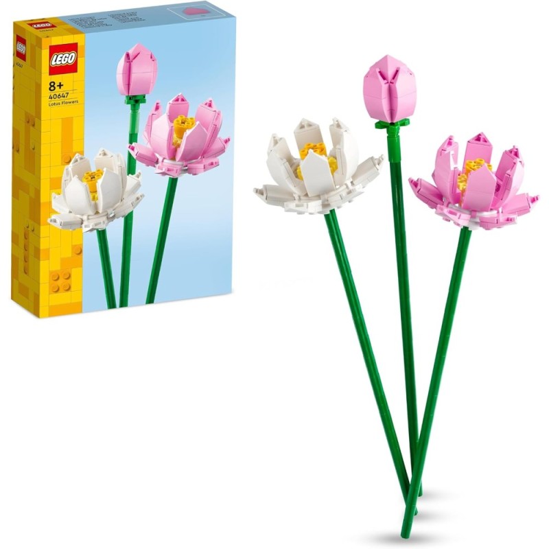 Flores de Loto