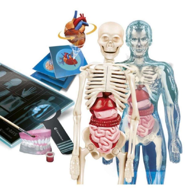 CIENCIA Y JUEGO SUPERANATOMIA