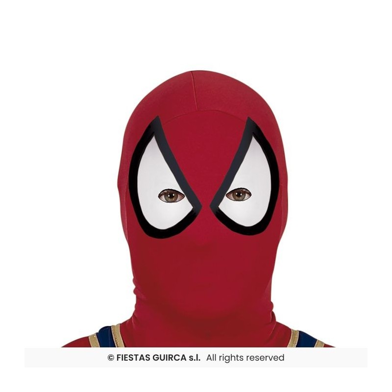 DISFRAZ IRON SPIDER HERO T.M 48-50