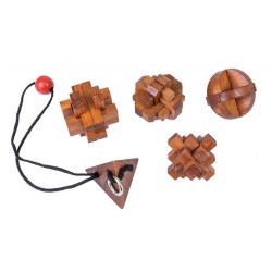 Set 5 Rompecabezas Grandes Mentes Mujer 2