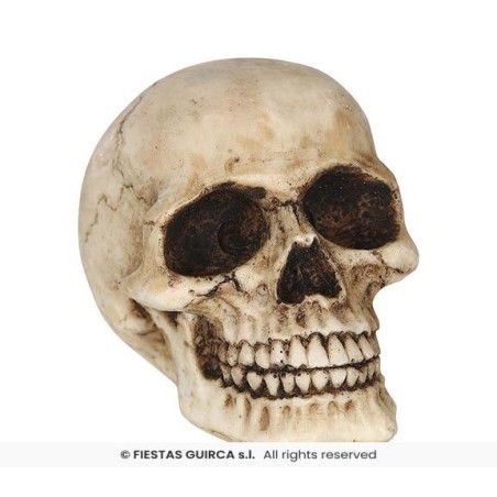 CALAVERA RESINA 8 CMS