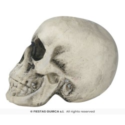 CALAVERA FOAM 22 CMS.  2