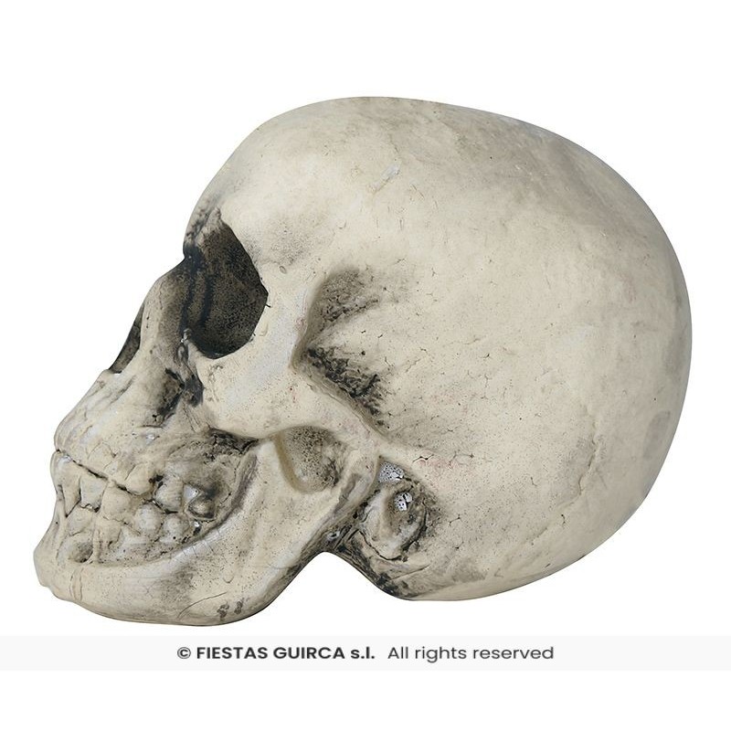 CALAVERA FOAM 22 CMS. 