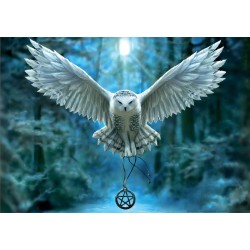Puzzle 500 despierta tu magia
