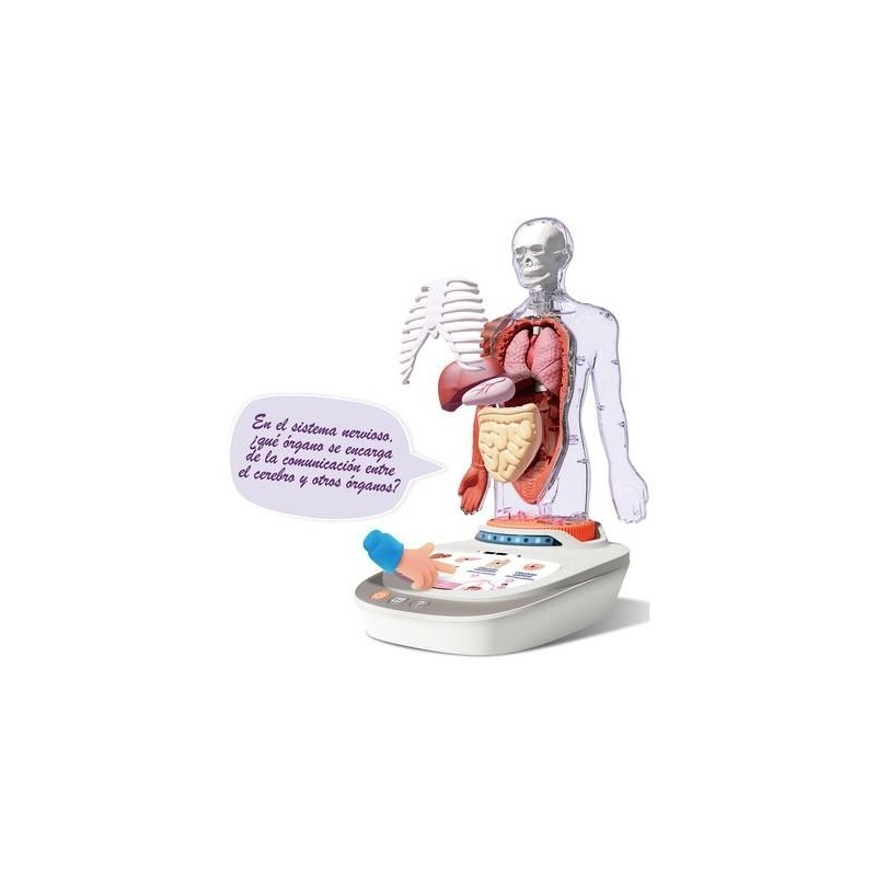 Mi Cuerpo Vozpedia 3D anatómico interact
