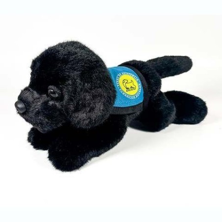 Peluche Perro Labrador Negro Con Chaleco