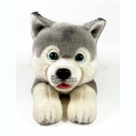 Peluche Husky Tumbado 25cm.