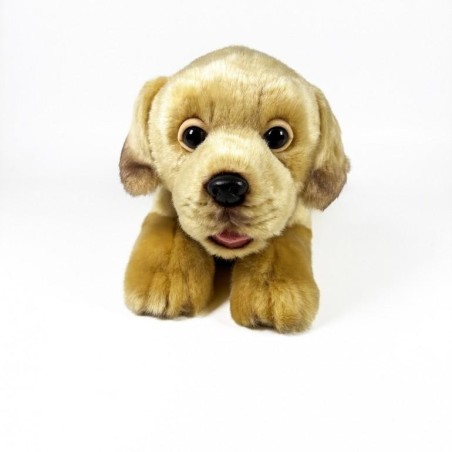 PELUCHE LABRADOR CANELA TUMBADO 25CM
