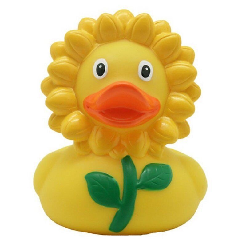 Pato Girasol