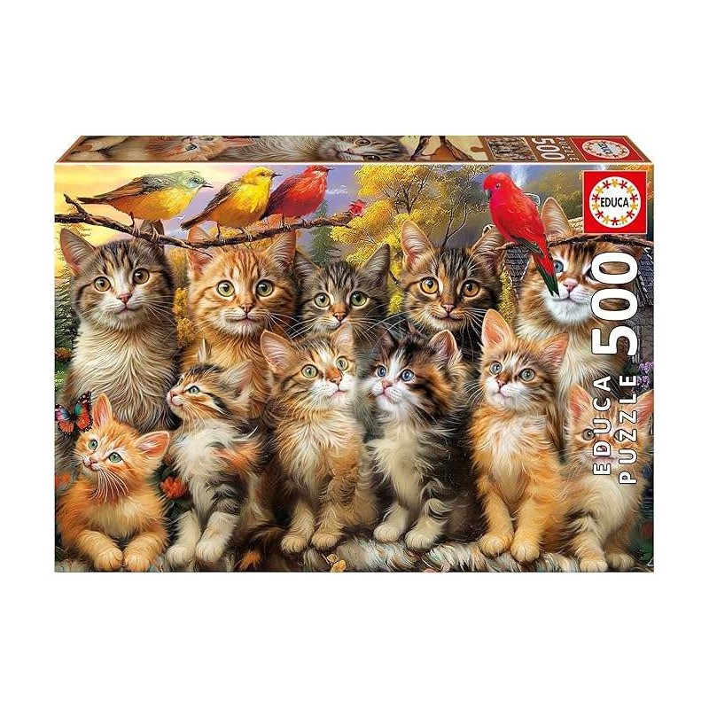 500 Gatitos Y Pájaros