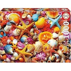 1000 Collage De Conchas