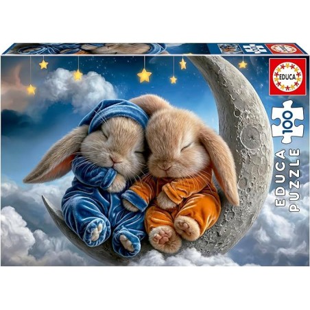 100 Sueños De  Conejitos
