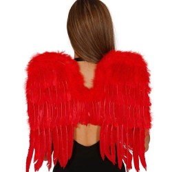 ALAS PLUMAS ROJAS 60x40 CMS.