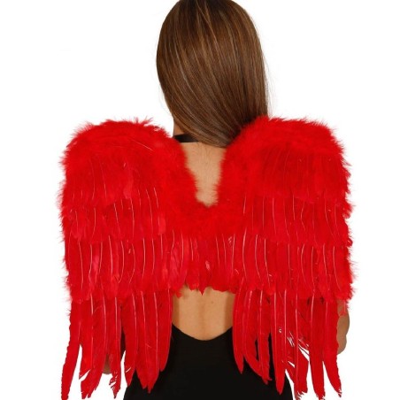 ALAS PLUMAS ROJAS 60x40 CMS.