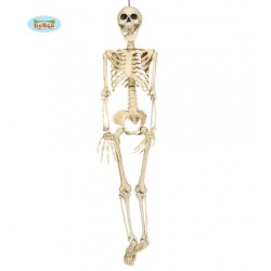 ESQUELETO 90 CMS.
