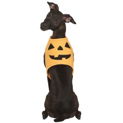 DISFRAZ CALABAZA PARA MASCOTA T.S