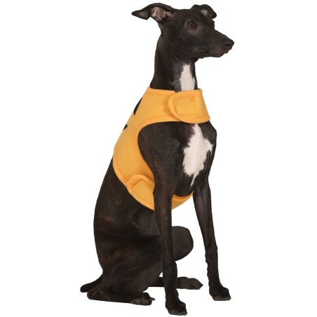 DISFRAZ CALABAZA PARA MASCOTA T.S