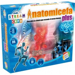 ANATOMICEFA PLUS 2