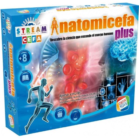 ANATOMICEFA PLUS