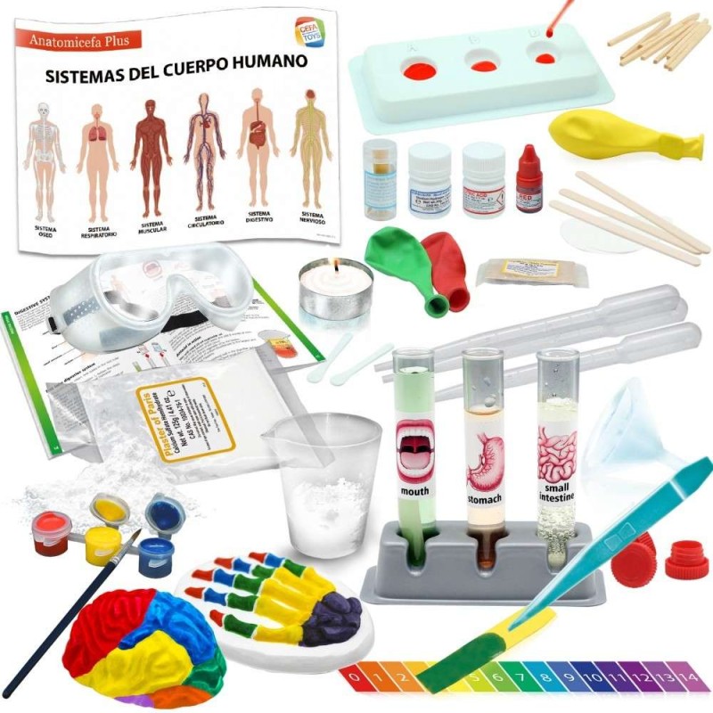 ANATOMICEFA PLUS