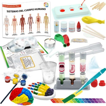 ANATOMICEFA PLUS
