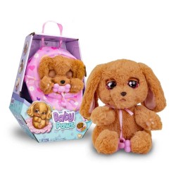 Baby paws cocker 2