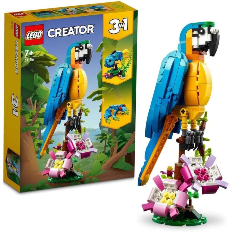 Loro Exótico