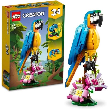 Loro Exótico