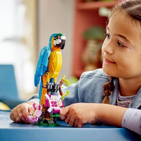 Loro Exótico