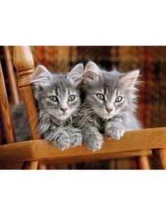PUZZLE KITTENS 500 PZAS