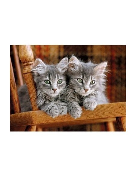 PUZZLE KITTENS 500 PZAS