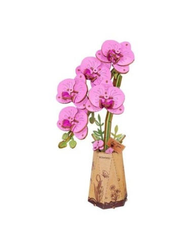Robotime Maqueta Flor Orquídea Morada Ma