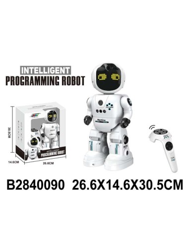 Rc Robot Programable