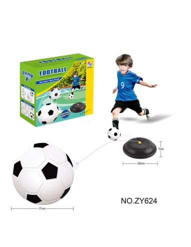 Entrenador Futbol