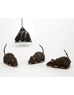 PACK 3 RATAS 15CM