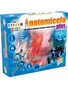 ANATOMICEFA PLUS 2