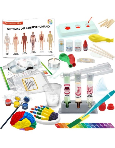 ANATOMICEFA PLUS