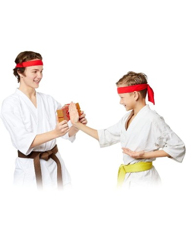JUEGO KARATE KAI